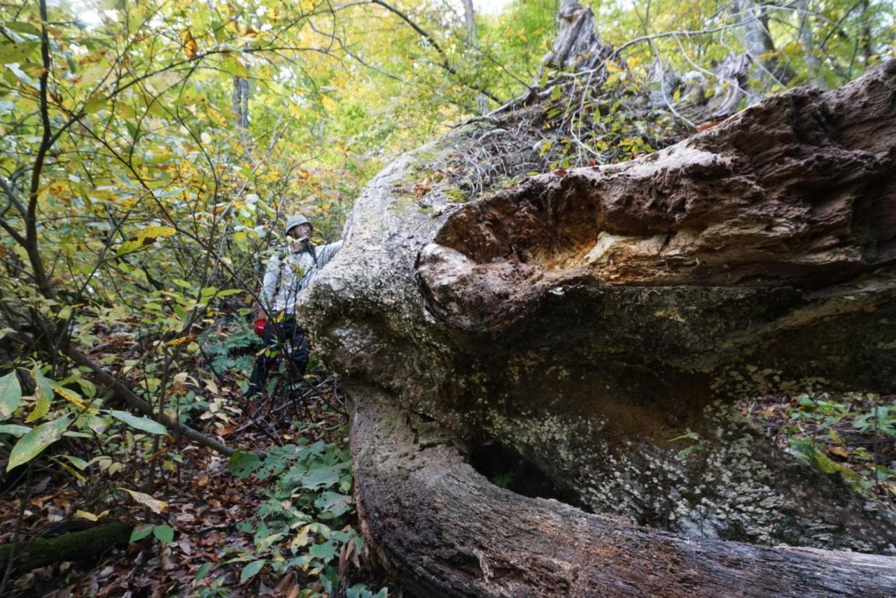 Shiroyamakan Sirakava Kültér fotó